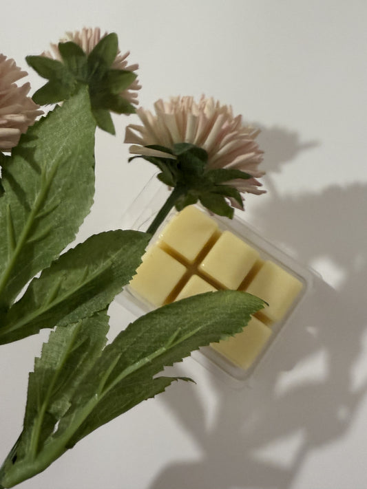 Salted Caramel Soy Wax Melts – Sweet & - Savory Indulgenc